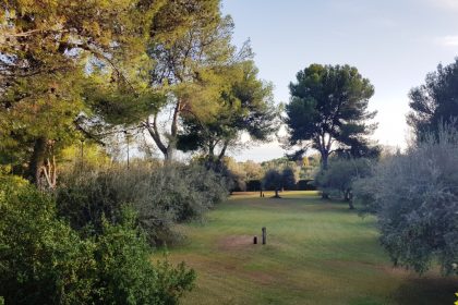 da2b513014c8b0211dbc11a692646811 - 35