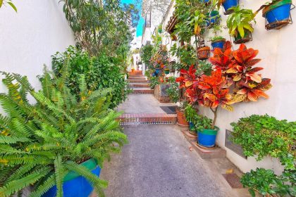 db0792e701935d5b38563d9cdac8356f - 26