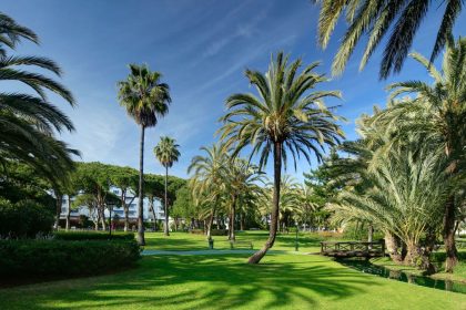 dc41dc96d347953485488383ac0640dd - 27