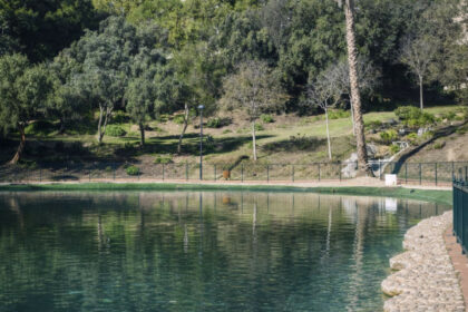 deb5e841213e2e0d5c68ee7273ad4c3d - 36