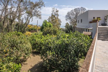 ded0a0ccdb156e802f943923fc831ffe - 23