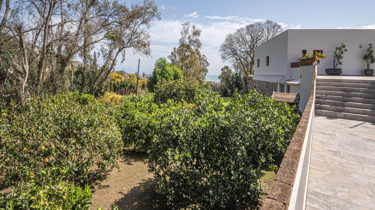 ded0a0ccdb156e802f943923fc831ffe - 23