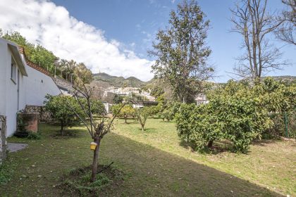 ded0a0ccdb156e802f943923fc831ffe - 25