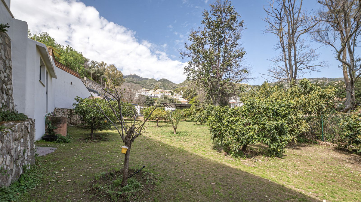 ded0a0ccdb156e802f943923fc831ffe - 25