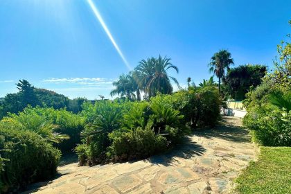 dedde3e531d85f7e9954fa2ea8df415b - 37