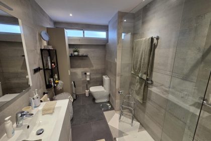 dfa5c08ba67a23b5470c3c67c9122a6a - 17