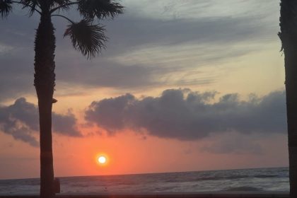 dfa5c08ba67a23b5470c3c67c9122a6a - 29