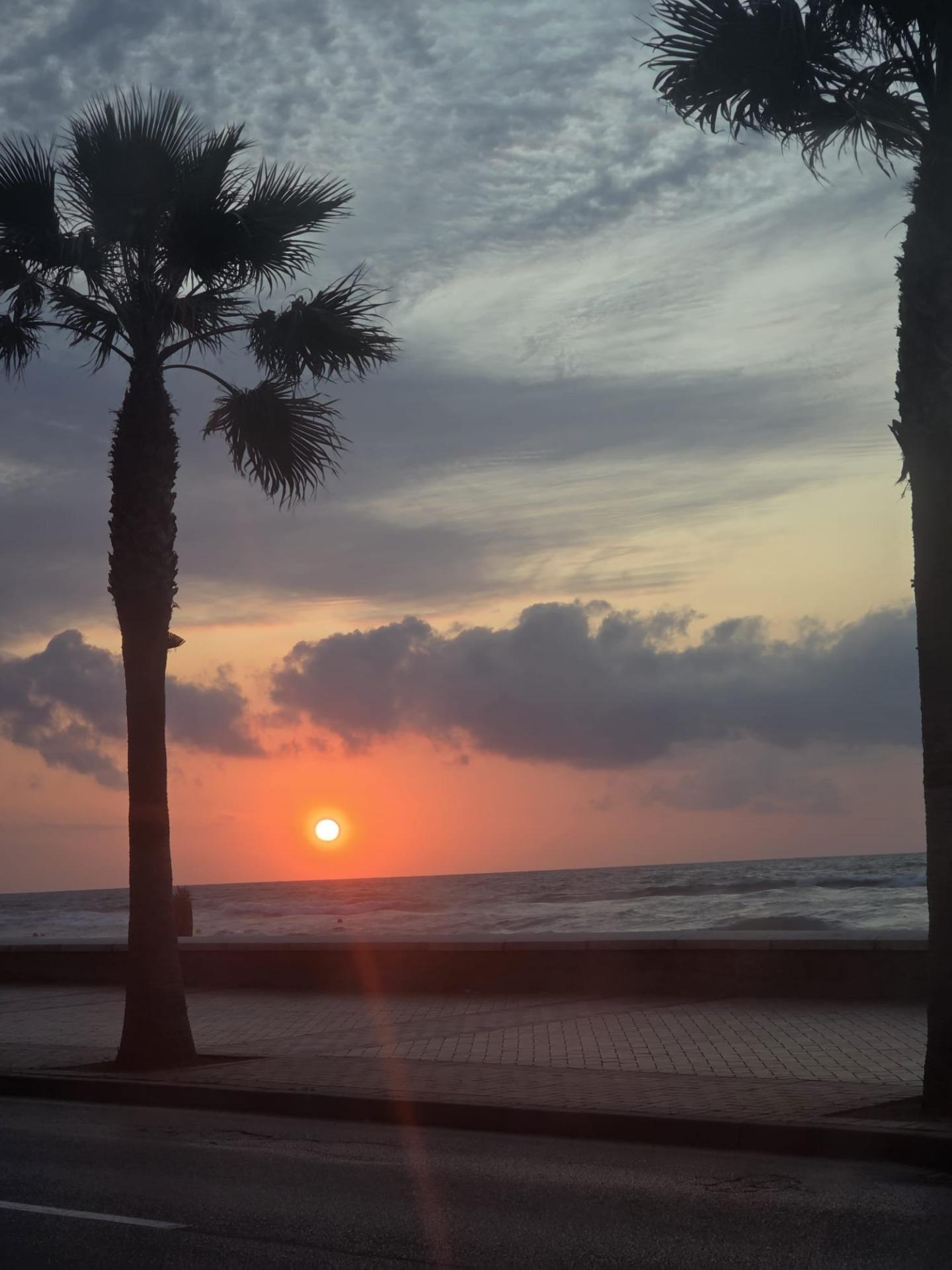 dfa5c08ba67a23b5470c3c67c9122a6a - 29