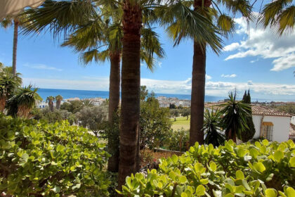 e167b96acc56d71415e78203559b2ace - 1