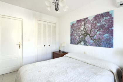 e496fbcaf9124357a31d1c4bd76b265a - 17