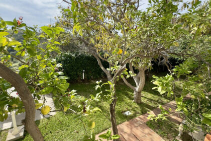 e496fbcaf9124357a31d1c4bd76b265a - 33