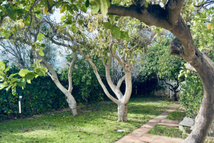 e496fbcaf9124357a31d1c4bd76b265a - 37