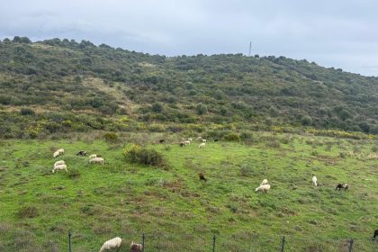 e49f24fc25a68538904eab635b45fe3d - 35