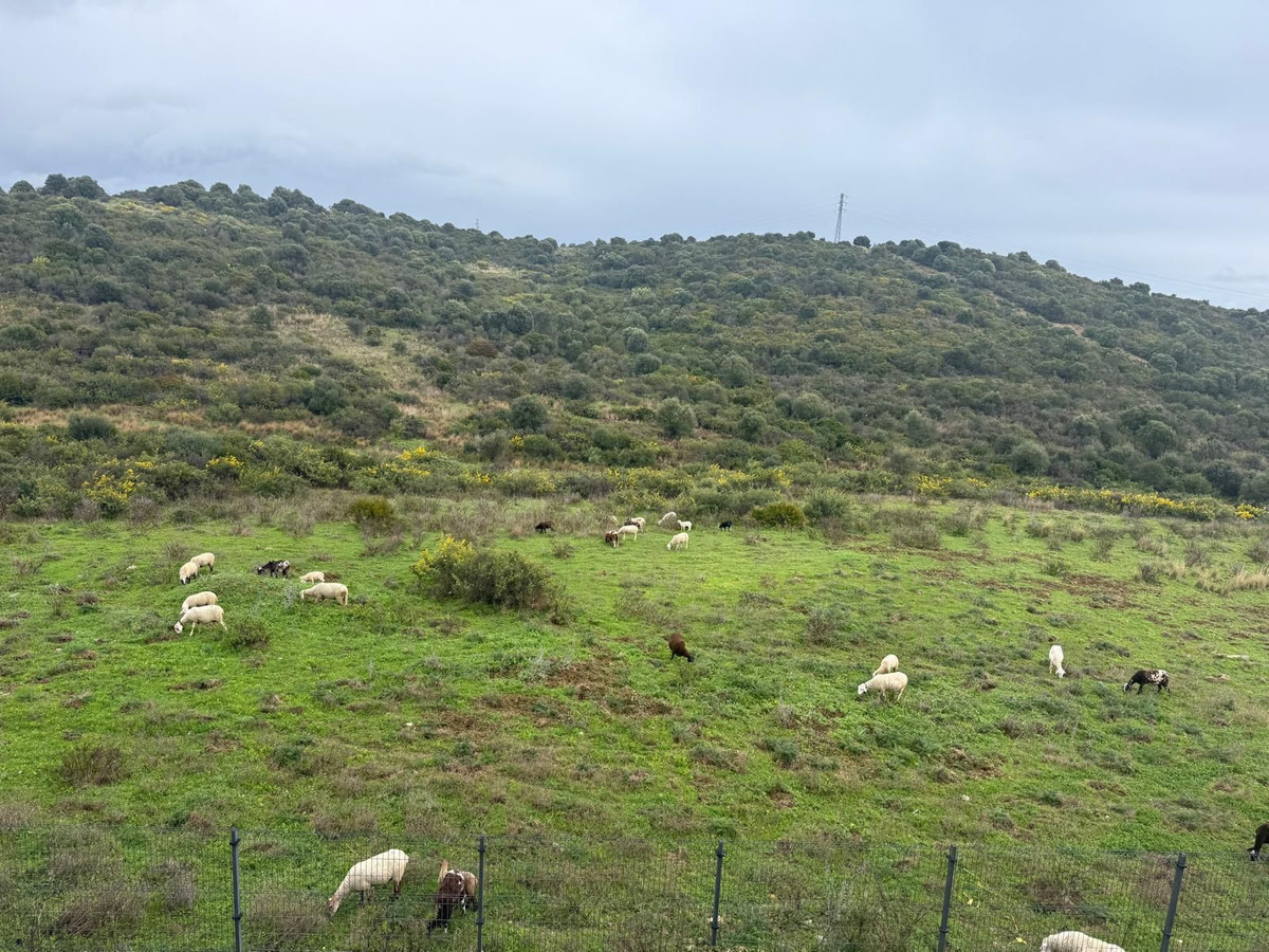 e49f24fc25a68538904eab635b45fe3d - 35