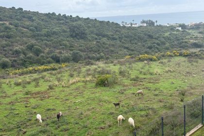 e49f24fc25a68538904eab635b45fe3d - 36