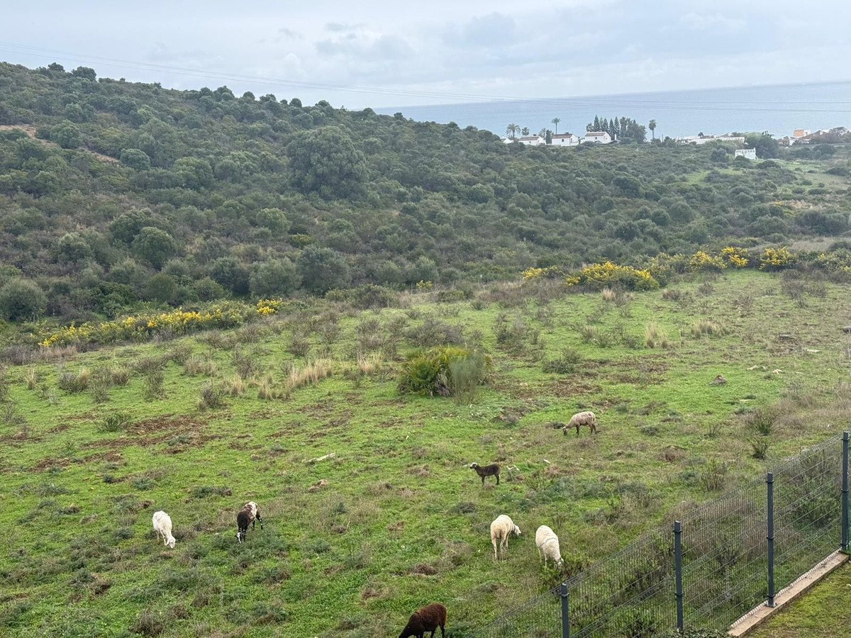 e49f24fc25a68538904eab635b45fe3d - 36