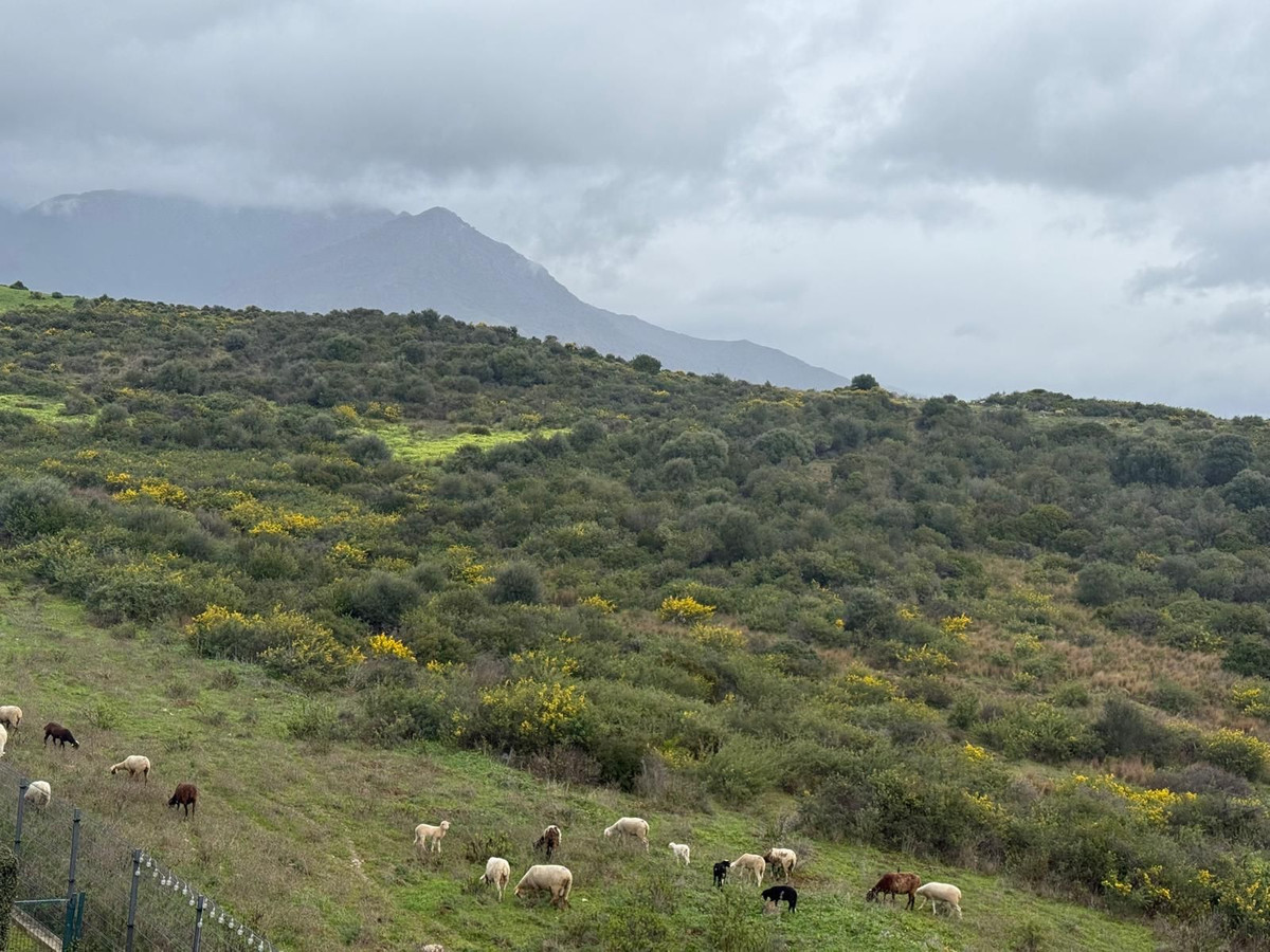 e49f24fc25a68538904eab635b45fe3d - 37