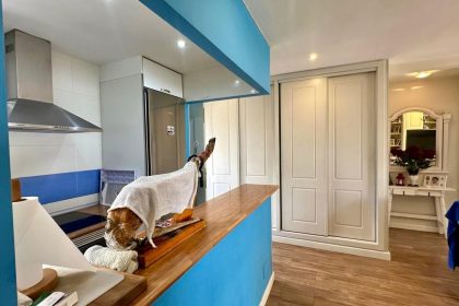 e5cc4133041c4b707a27370d1fb49089 - 13