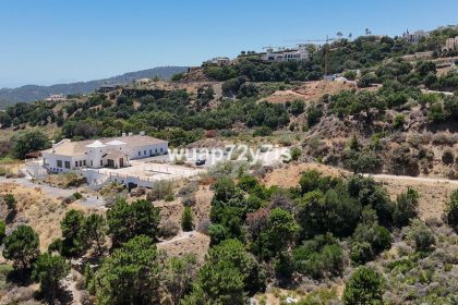 e6cc3cbf1add38f30f8400be3a54326e - 1