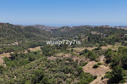 e6cc3cbf1add38f30f8400be3a54326e - 5