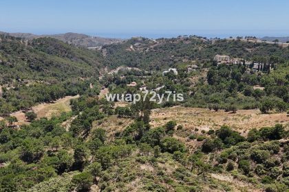 e6cc3cbf1add38f30f8400be3a54326e - 6