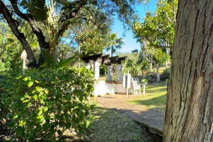 e7925c0d4daaf44b4202e0bd603e4eeb - 29