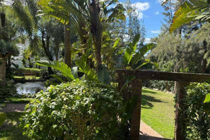 e7925c0d4daaf44b4202e0bd603e4eeb - 37