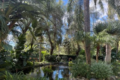 e7925c0d4daaf44b4202e0bd603e4eeb - 40