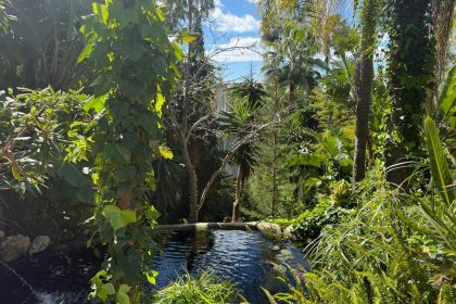 e7925c0d4daaf44b4202e0bd603e4eeb - 43