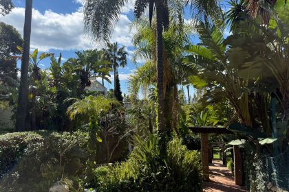 e7925c0d4daaf44b4202e0bd603e4eeb - 44