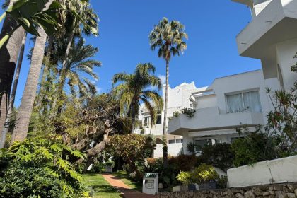 e7925c0d4daaf44b4202e0bd603e4eeb - 45