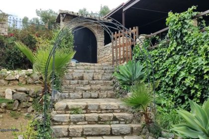 e85d2648767fb3741779618dfdb4b28c - 25