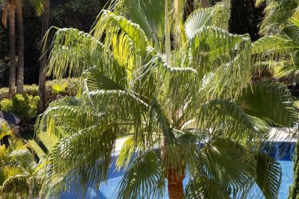 e93625132394c6ac4b77dae0a08ef006 - 16