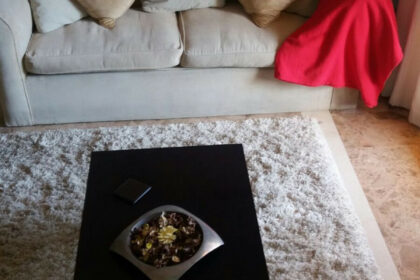 e96f42ed5880bb9e080667b1865a8145 - 11