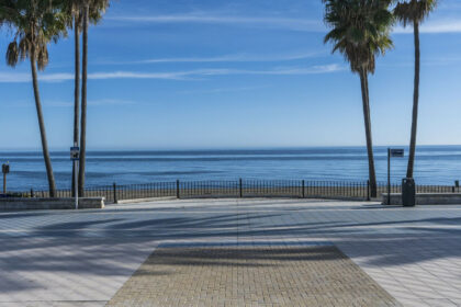 e96f42ed5880bb9e080667b1865a8145 - 25