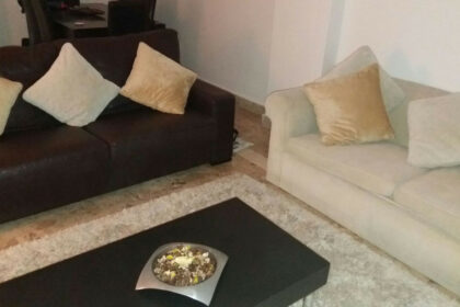 e96f42ed5880bb9e080667b1865a8145 - 8