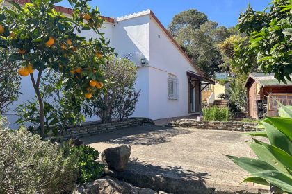 eb4ae54b3b411bce25bb1f8caf7af539 - 47