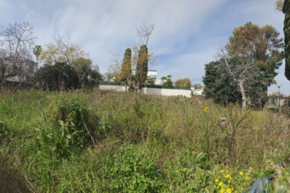 edeea1dade5dd3f8a0f907464a5b714c - 2