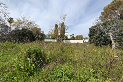 edeea1dade5dd3f8a0f907464a5b714c - 6