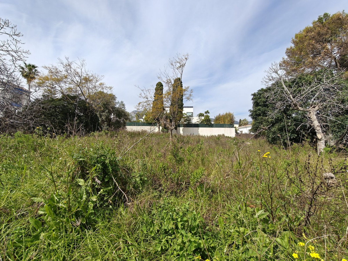 edeea1dade5dd3f8a0f907464a5b714c - 6