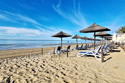 eecb942e7e1a52a86324ce69b5c5c0bb - 1