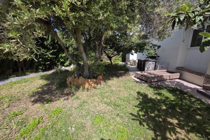 ef578f6919a6256566376aaa4585fc89 - 1