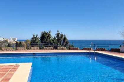 efc27ce69986993282d540d9c722c3ec - 1