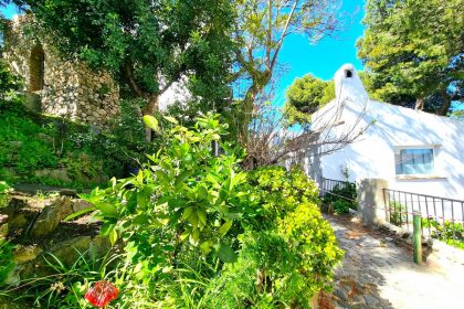 efc27ce69986993282d540d9c722c3ec - 18