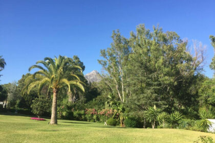 efdfce69f9bbe5f3308ddd67516dace4 - 21