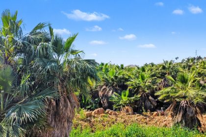 f0c20b566ef80fd8e334c67725d1120e - 12