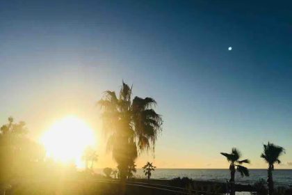 f0d1c71cd9e6a281c50fa3647405600c - 11