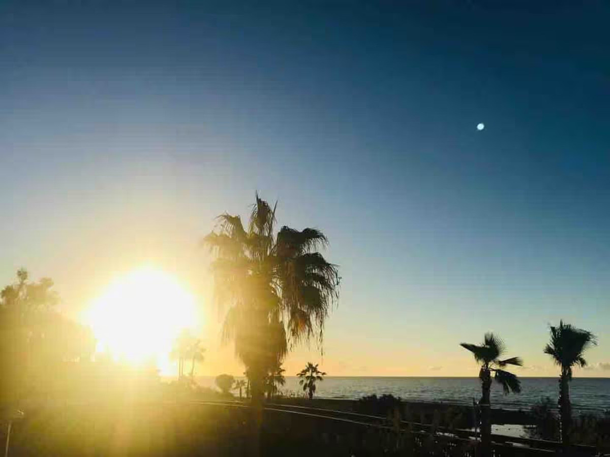 f0d1c71cd9e6a281c50fa3647405600c - 11