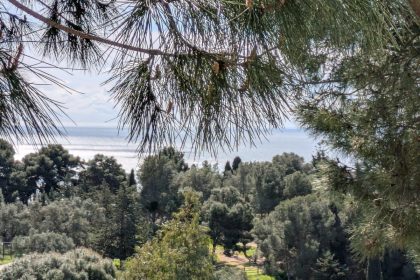 f0e07081e148c15b6dacea7bfe2ac1e7 - 50