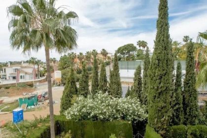 f33f0b2da8c4ae6ed4bc623c256a0331 - 25